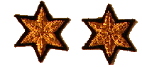 Embroidered 10 Point Stars