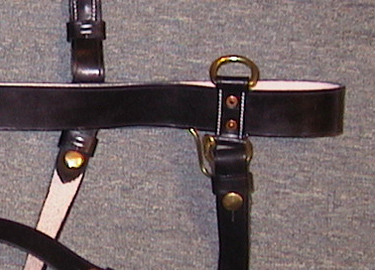 Sword Belt Side View